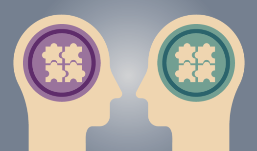 Γραφικό που αναπαριστά δύο εγκεφάλους, με διαφορετικά χρώματα.