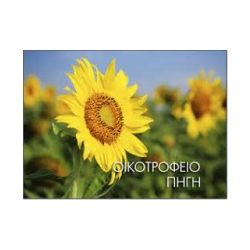 Εικόνα για το Οικοτροφείο "Πηγή".