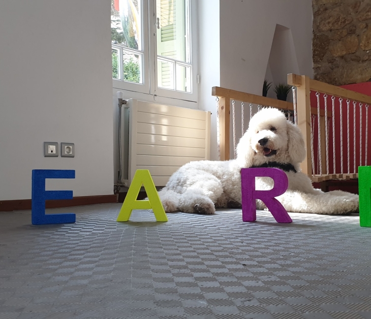 Εικόνα σκύλου θεραπείας, πως και γιατί ο καλύτερος σύντροφος του ανθρώπου, γίνεται θεραπευτής.