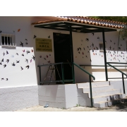 Εξωτερική εικόνα (πρόσοψη) του Κέντρου Συμβουλευτικής και Επιμόρφωσης ΑμεΑ Καισαριανής.