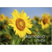 Εικόνα για το Οικοτροφείο "Πηγή".