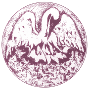 Λογότυπο του Πρότυπου Εθελοντικού Κέντρου ΑμεΑ στη Νάουσα Πάρου.