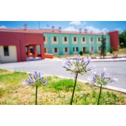 Εικόνα από τον εξωτερικό χώρο του κτηρίου, όπου στεγάζονται οι Στέγες Υποστηριζόμενης Διαβίωσης της ΚΟΙΝΣΕΠ "Λαμπηδόνες"